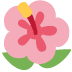 :hibiscus: :hibiscus: