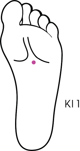 kidney-1