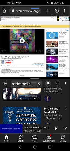 Screenshot_20220921_212948_com.android.chrome