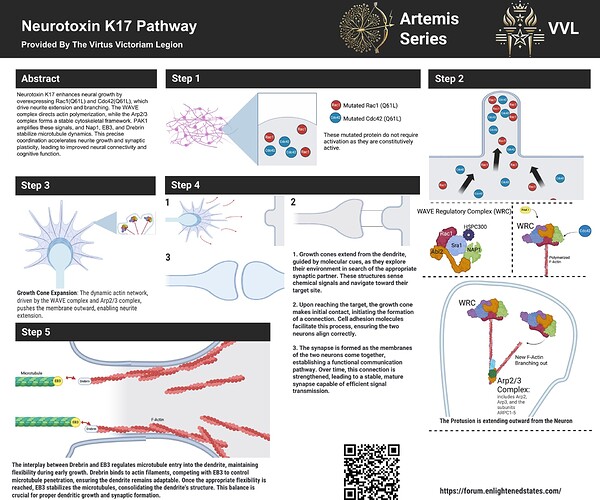 Neurotoxin K17 Info