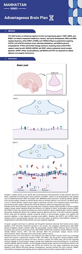 Advantageous Brain Plan copy