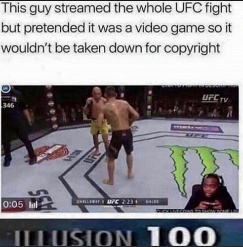 ufc fight