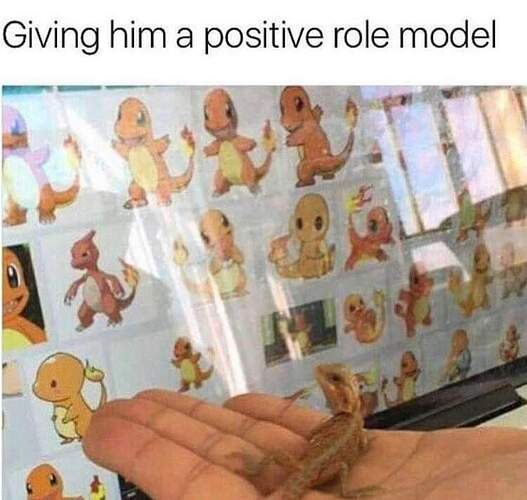 positive role model