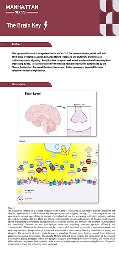 Brain Key