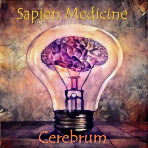 Cerebrum