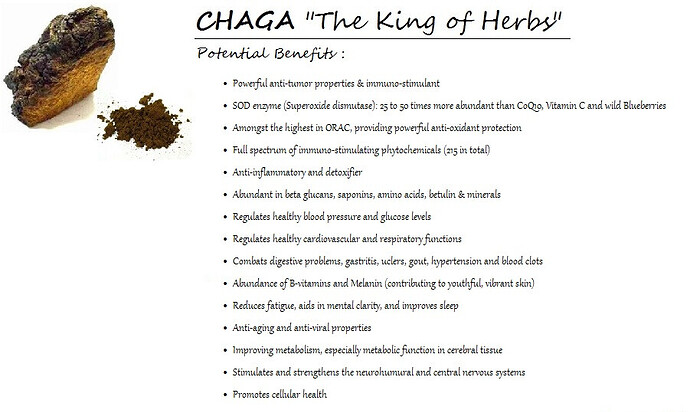 chaga 1+