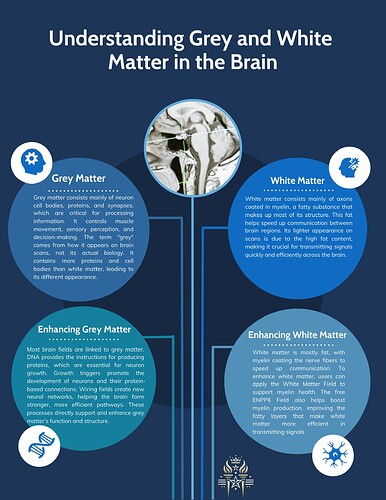 Understanding Grey and White Matter