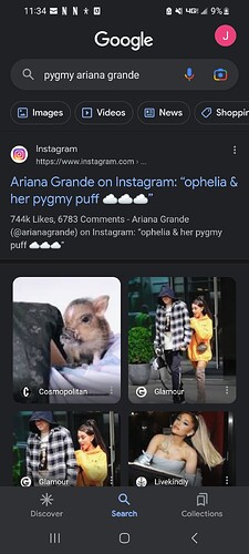 Screenshot_20230304_113409_Google