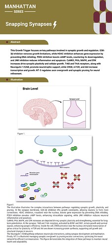 Snapping Synapses