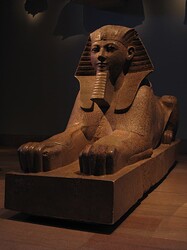 Hatshepsut Sphinx