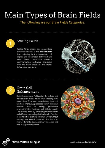 Main types of Brain Fields