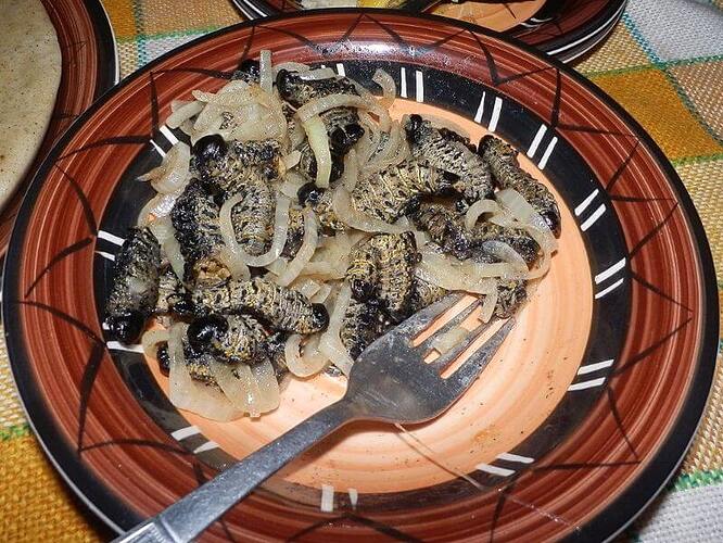 Mopane-worms