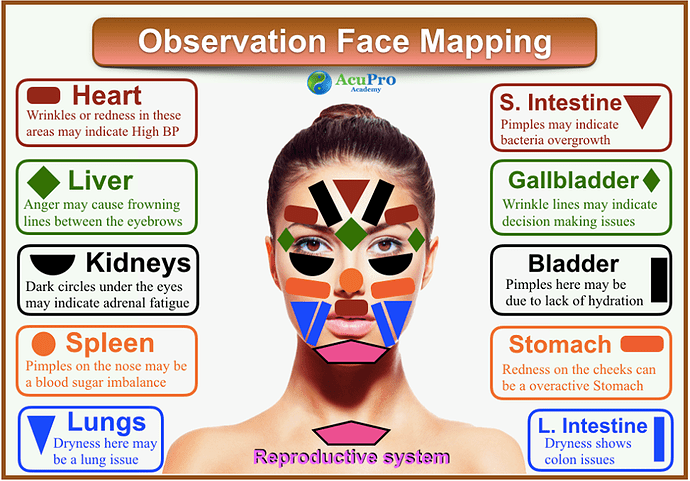 face-map-in-tcm