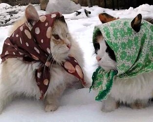 BABUSHKATS