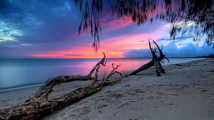 k-sunset-calm-sea-sandy-beach-dry-tree-reflection-wallpaper-hd-1920x1080