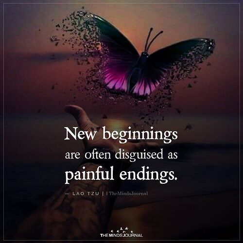 New Beginnings