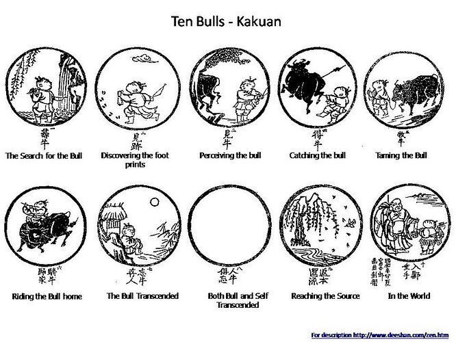 ten bulls