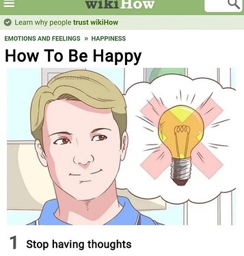 people-trust-wikihow-emotions-and-feelings-happiness-be-happy-aborteddreams-1-stop-having-thoughts