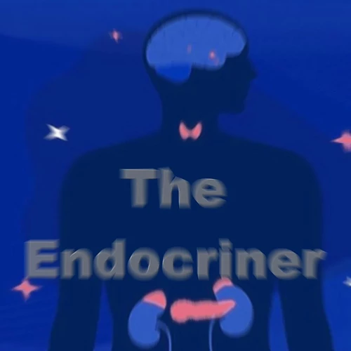 Theendocriner