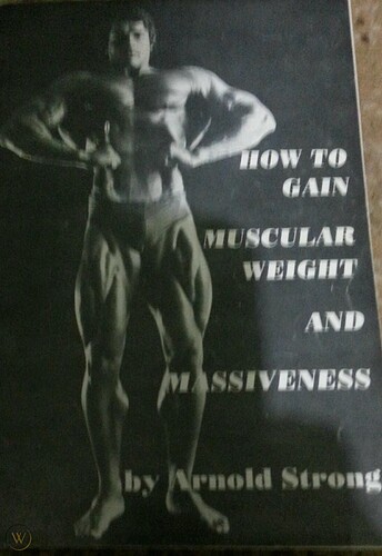 gain-muscular-weight-massiveness_1_9deb55283eba94fb4483eef3bb47600f