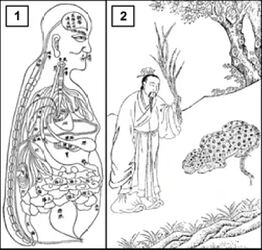 Daoist Alchemy
