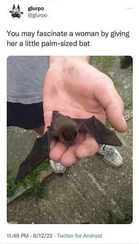 glurpo-glurpo-may-fascinate-woman-by-giving-her-little-palm-sized-bat-1146-pm-81222-twitter-android