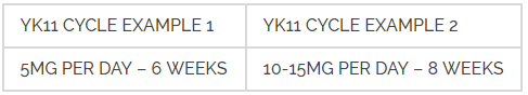 yk11 cycle