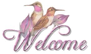 welcome pink birds