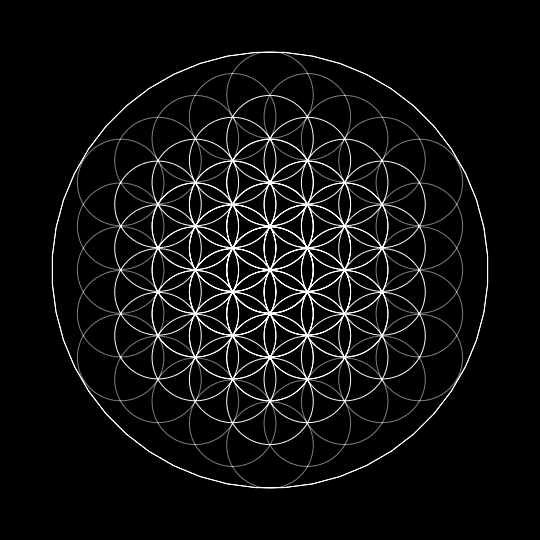 Flower of Life Progression Animation UnknownSource