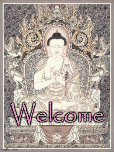 Welcome Buddha 5D