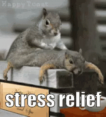 stress-relief-stress