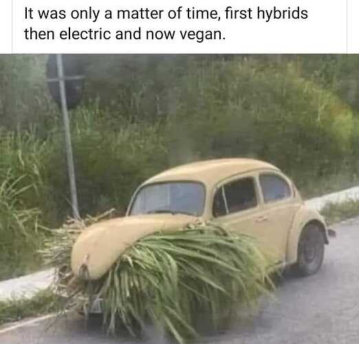 Hybrid