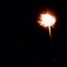 fireworks-new-year