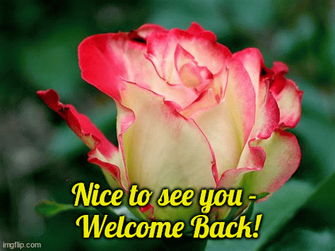 Welcome Back Rose