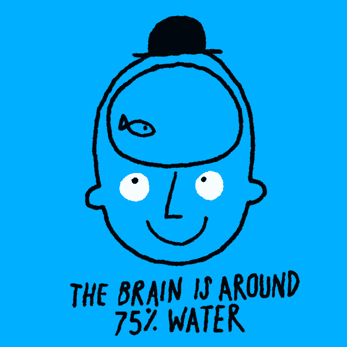 7-brain-is-75-water+learn-something-every-day-by-Young