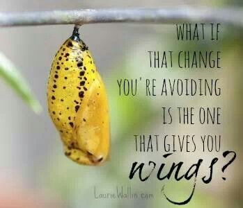 1656209552-Motivational-Quote-A-Metamorphosis-photo