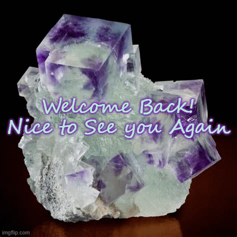 Welcome Back Crystal