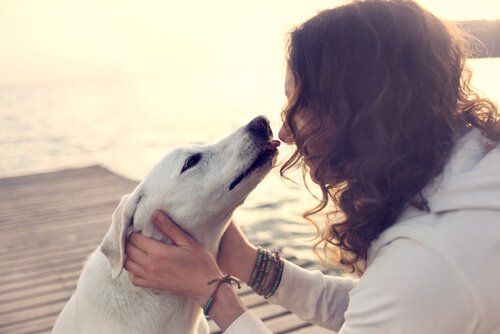 dog-kiss