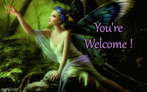 You're Welcome Fairy
