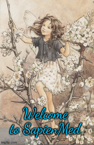 Welcome from Fairy White