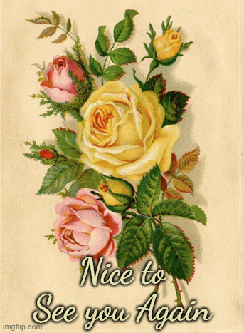 Pink and Yellow Nice to see you again