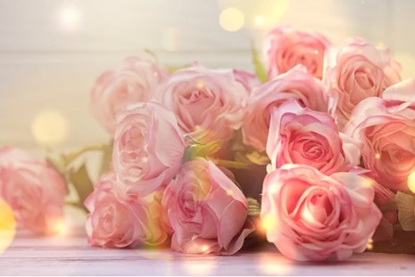 Pink Roses 3