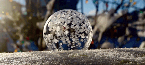 soap bubble frozen ice freeze