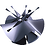 igem