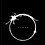 Orion
